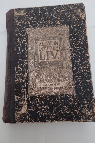 click to zoom click to zoom